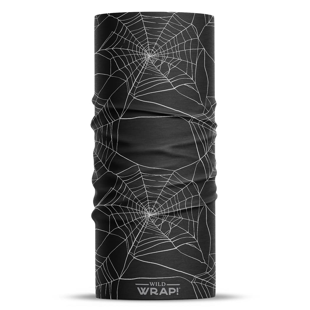 Spiderwebs